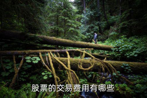 股票的交易费用有哪些
