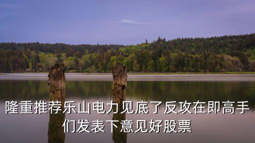 隆重推荐乐山电力见底了反攻在即高手们发表下意见好股票
