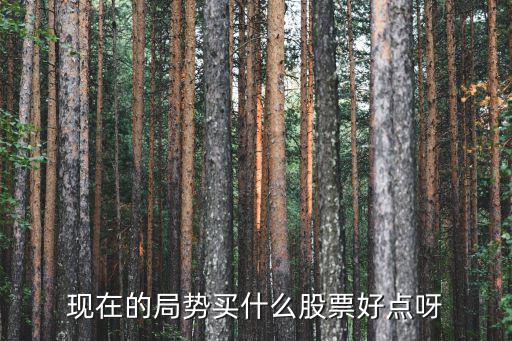 现在的局势买什么股票好点呀