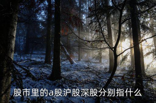 股市里的a股沪股深股分别指什么