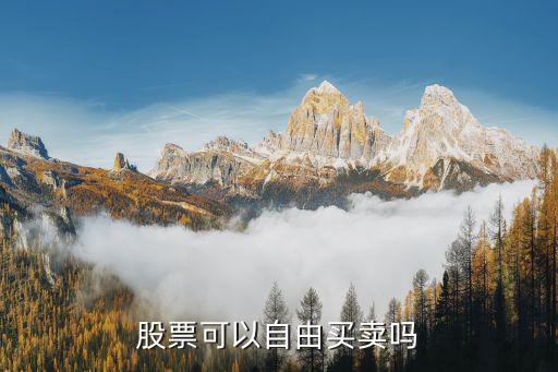 股票可以自由买卖吗