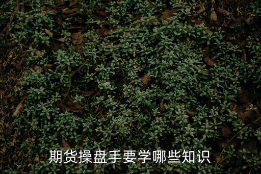 期货操盘手要学哪些知识