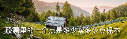 买股票多少点有收益，股票里的一个点是多少卖多少点保本