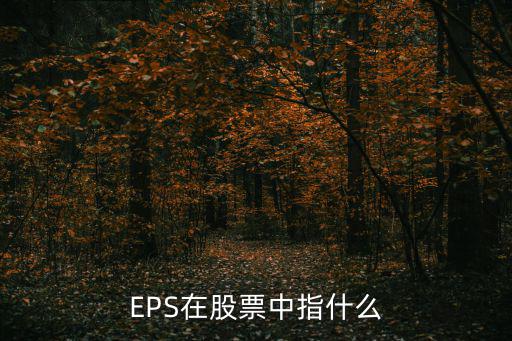 EPS在股票中指什么