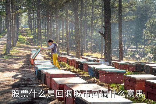 股票什么是回调股市回调什么意思