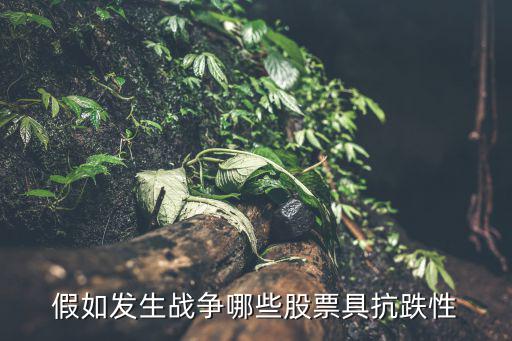 假如发生战争哪些股票具抗跌性