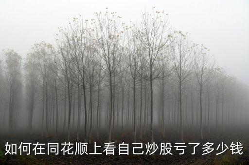 如何在同花顺上看自己炒股亏了多少钱