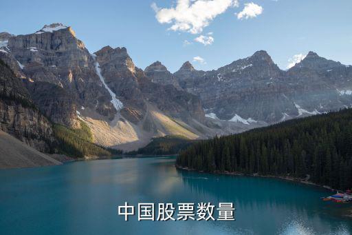 中国股票数量
