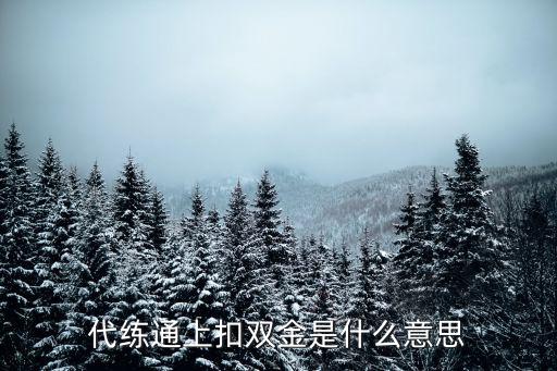 代练通上扣双金是什么意思