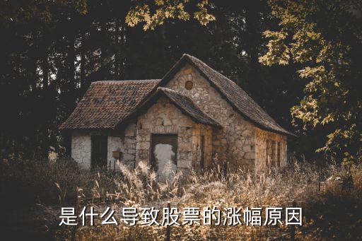 是什么导致股票的涨幅原因