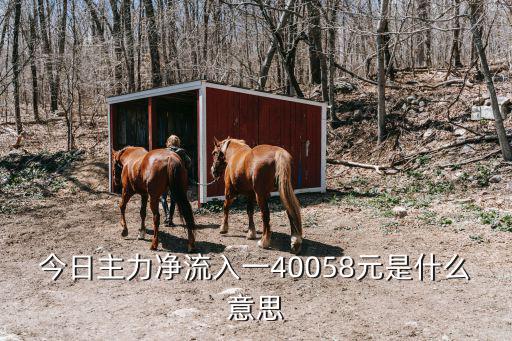 今日主力净流入一40058元是什么意思