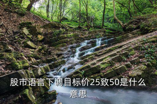 股市语言下调目标价25致50是什么意思