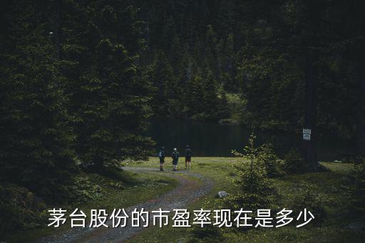 茅台股份的市盈率现在是多少