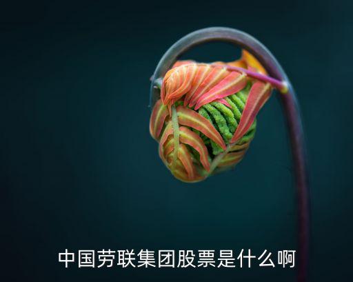 中国劳联集团股票是什么啊