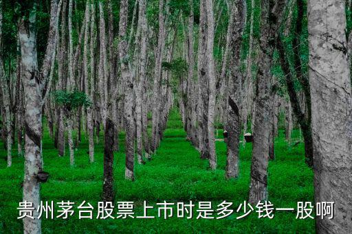 贵州茅台股票上市时是多少钱一股啊