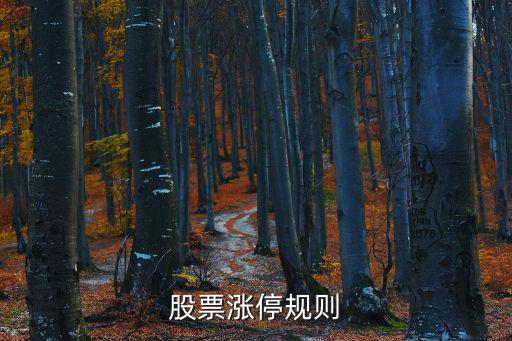 牛市股票有多少涨停，股票涨停规则