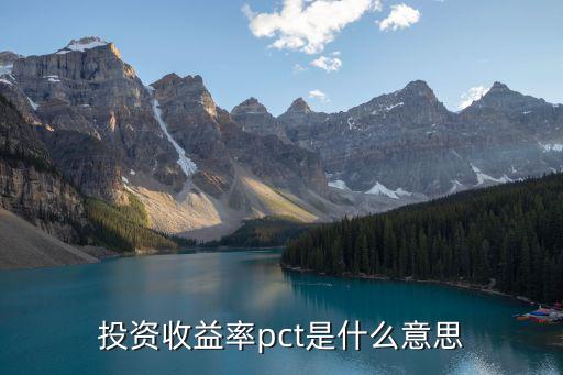 投资收益率pct是什么意思