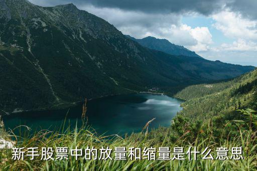 新手股票中的放量和缩量是什么意思
