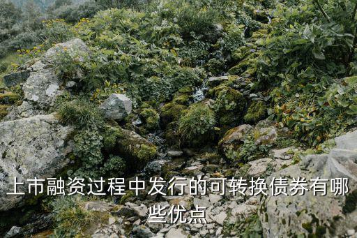 上市融资过程中发行的可转换债券有哪些优点