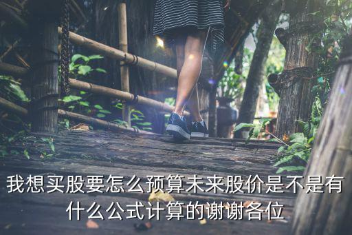我想买股要怎么预算未来股价是不是有什么公式计算的谢谢各位