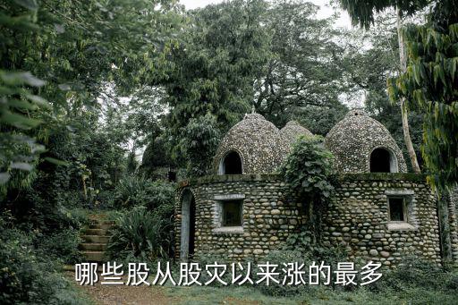 哪些股从股灾以来涨的最多