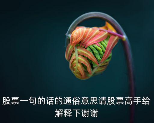 什么是股票通俗的说法，请问股票是怎么定义的