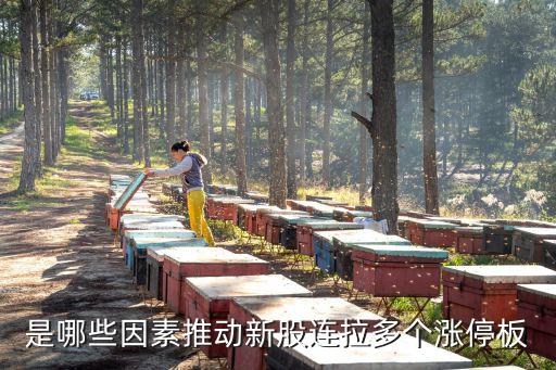 是哪些因素推动新股连拉多个涨停板