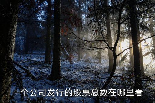 怎么看公司多少股票，用同花顺怎么看企业发行了多少股