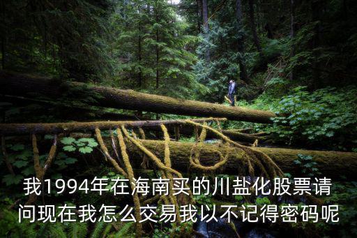 我1994年在海南买的川盐化股票请问现在我怎么交易我以不记得密码呢