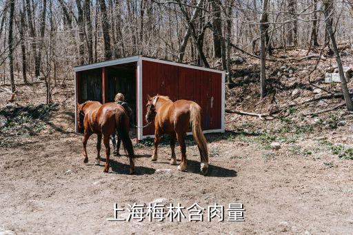 上海梅林是什么股票，上海梅林怎么样