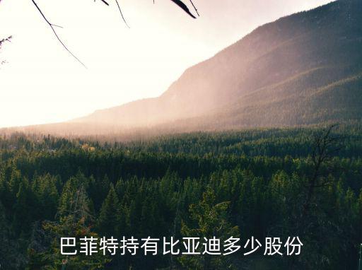 巴菲特持有比亚迪多少股份
