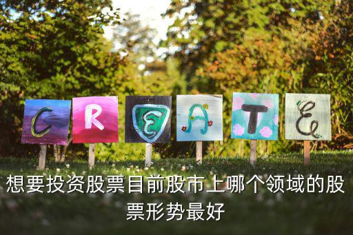 想要投资股票目前股市上哪个领域的股票形势最好