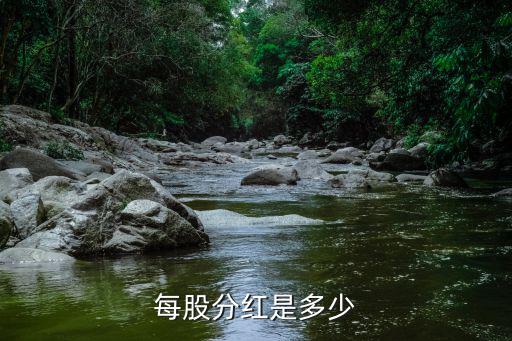 个人买股票分红是多少，股票分红一般多少