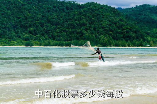 中石化股票多少钱每股