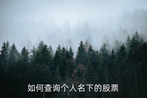 如何查询个人名下的股票