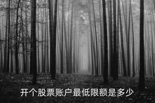 开个股票账户最低限额是多少
