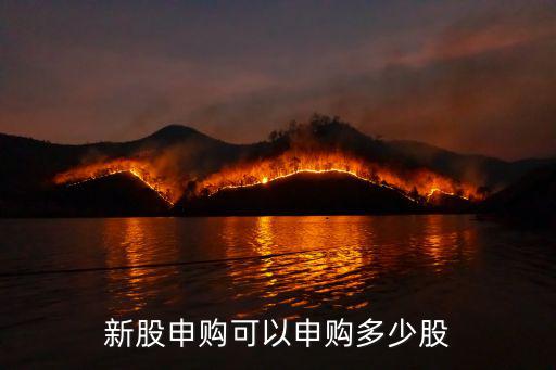 股票多少份额才能申购，新股申购可以申购多少股