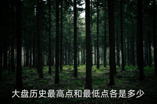 股票市盈率历史最高是多少，大盘历史最高点和最低点各是多少