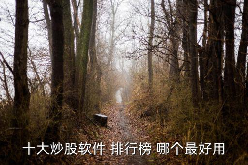 股票下载什么软件好看，十大炒股软件 排行榜 哪个最好用