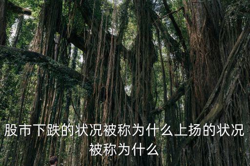 股票指数下跌又称什么，股市下跌的状况被称为什么上扬的状况被称为什么