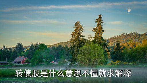 转债股是什么意思不懂就求解释