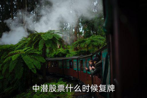 中潜股票什么时候复牌