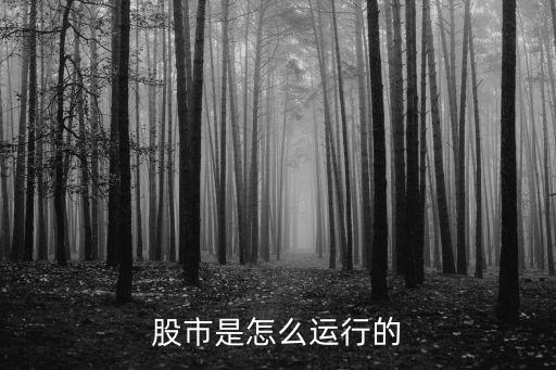 股票怎么运作，股市是怎么运行的