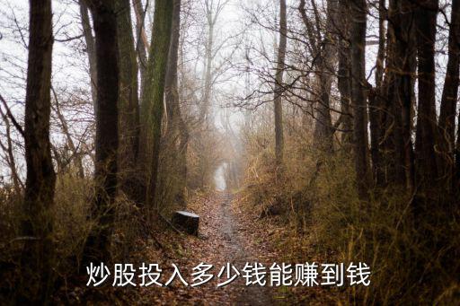 炒股投入多少钱能赚到钱