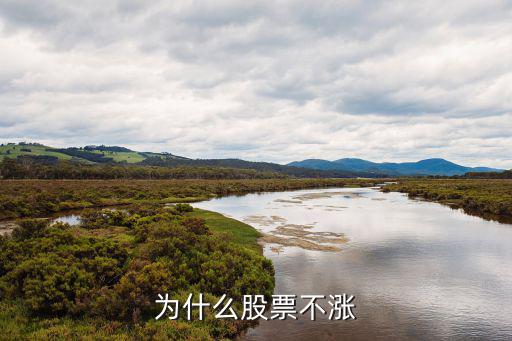 北证股票为什么不涨，为什么股票不涨