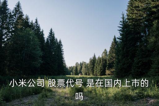 小米公司 股票代号 是在国内上市的吗