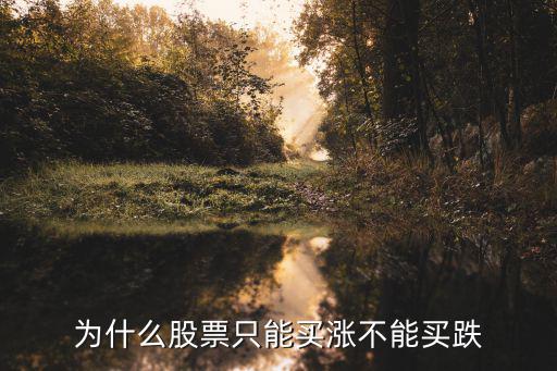 股票为什么下跌不能买入，股票跌停能不能买