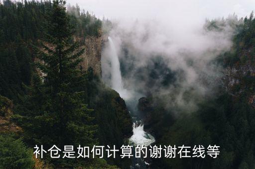 补仓是如何计算的谢谢在线等