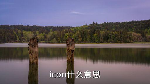 icon什么意思