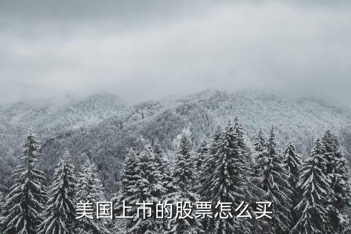 美国上市的股票怎么买